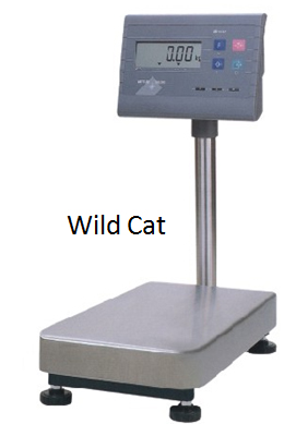 > </div>
<div class=